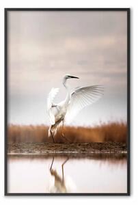 Poster: Autunno lago - uccello bianco su campo dorato