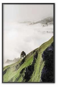 Poster: Albero nuvole - montagna, alberi sopra nuvole