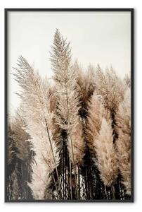 Poster: Pennacchio sogni - alberi dorati su sfondo chiaro