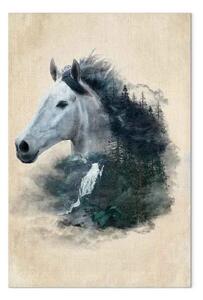 Quadro moderno Messaggero Libertà - Cavallo disegnato