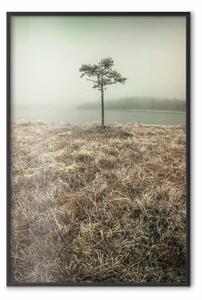 Poster: Riva lago - erba, piccolo albero sull'acqua