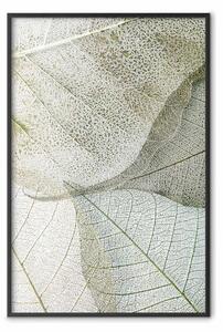 Poster: Configurazione fogliare - composizione fogliare con una chiara texture