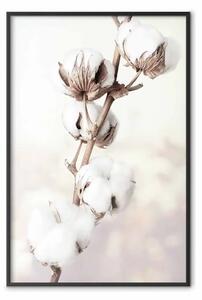 Poster: Sottigliezza natura - paesaggio pianta con fiori