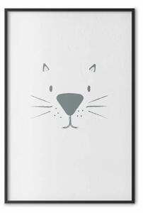 Poster: Musetto di gatto - animale con faccia divertente