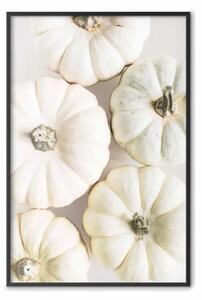 Poster: Tempo zucche - verdure autunnali su bianco