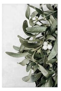 Quadro su tela Foglie di vischio - inverno, foto botanica su uno sfondo bianco