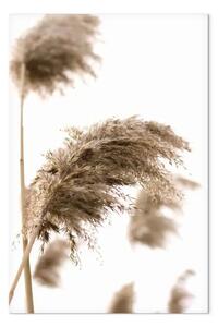 Quadro Vento secco verticale - paesaggio vegetale in stile boho
