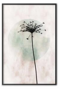 Poster: Sera autunnale - fiore soffione nero, cerchio chiaro