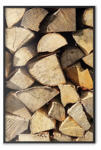 Poster: Bellezza dell'albero - composizione di legno tagliato in diverse forme