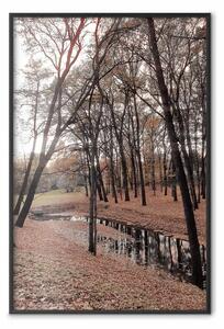 Poster: Passeggiata autunnale - alberi, foglie marroni, stagno