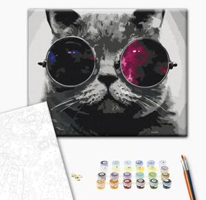 Quadro da dipingere con i numeri Gatto con occhiali