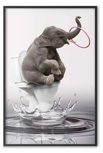 Poster: Surfing - elefante astratto fantastico su toilette in acqua