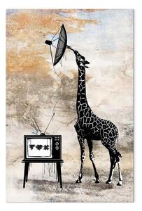 Quadro su tela Giraffa televisiva verticale - fantastico animale divertente