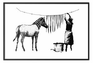 Poster: Banksy: Lavaggio Zebra