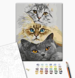 Quadro con numeri Trio di gatti
