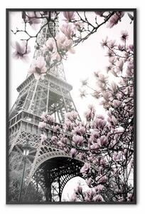 Poster: Magnolie al sole di Parigi - fiori rosa su sfondo della Torre Eiffel