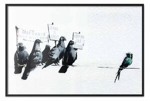 Poster: Colombi xenofobi - uccelli neri con cartelli con scritte