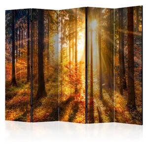 Paravento Sveglia autunnale II - paesaggio soleggiato in un bosco