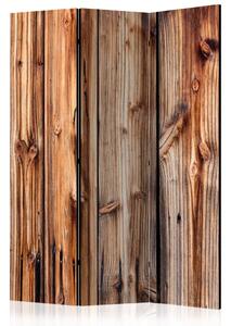 Paravento separè Stanza di legno - unica composizione in marrone