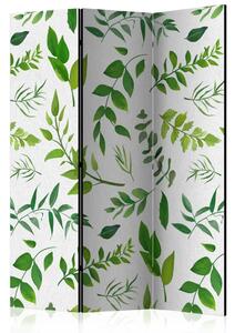 Paravento design Rami verdi - composizione di foglie su sfondo bianco