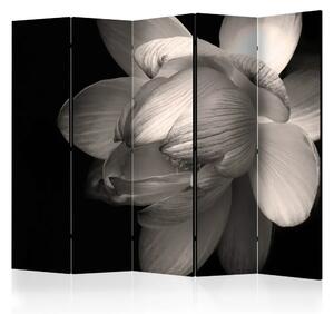Paravento design Fiore di loto II - czarno-biała kompozycja z magnolią