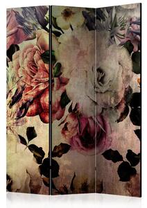 Paravento design Fiori di nostalgia - rose romantiche in stile vintage