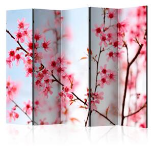 Paravento separè Simbolo del Giappone - sakura II - fiori di ciliegio