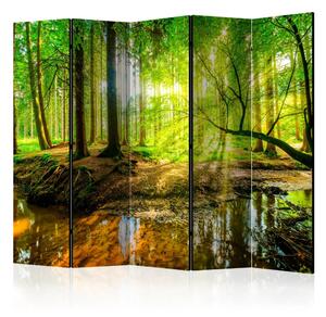 Paravento Torrente forestale II - paesaggio acquatico tra gli alberi