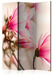 Paravento design Ramo di magnolia - fiori pittoreschi, sfondo chiaro