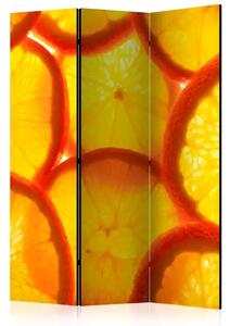 Paravento design Fette d'arancia - sfondo con frutti arancioni succosi
