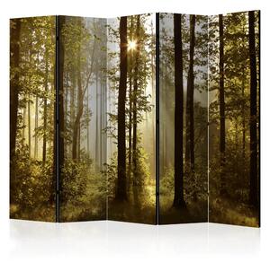 Paravento design Foresta: Sole mattino II - paesaggio forestale, chiome