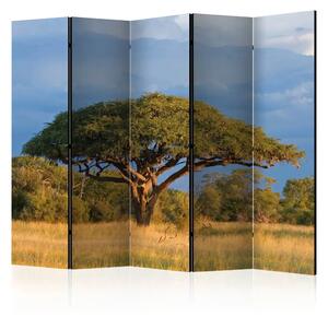 Paravento Acacia africana - paesaggio con albero su sfondo celeste