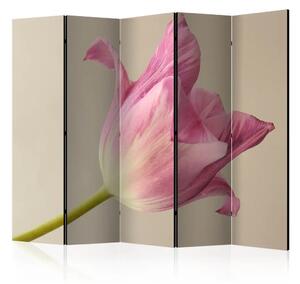 Paravento Tulipano rosa II - tulipano rosa su sfondo beige