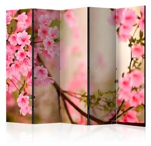 Paravento design Azalea rosa II - composizione di fiori rosa su rami