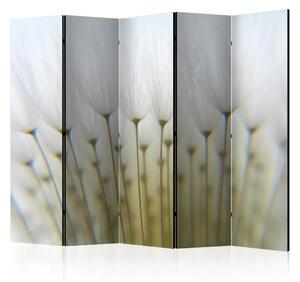 Paravento design Bosco di denti di leone II - fiori luminosi