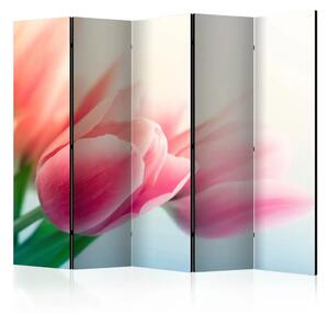 Paravento Primavera e tulipani II - fiori rosa, sfondo bianco