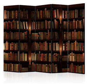 Paravento design Librerie II - composizione scura con letteratura