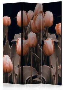 Paravento Signore tra i fiori - bouquet di tulipani rosa