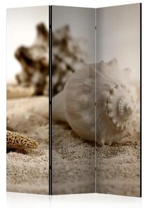 Paravento design Sabbia e Conchiglia - spiaggia sabbiosa beige