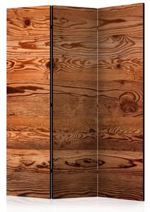 Paravento Stile Rustico - composizione con texture di tavole marroni