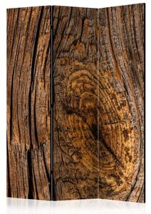 Paravento separè Albero Antico - composizione marrone con texture di legno