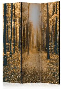 Paravento design Luce Magica - paesaggio autunnale tra gli alberi