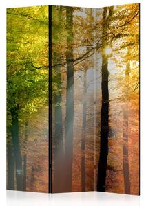 Paravento separè Colori del Bosco - paesaggio colorato tra gli alberi