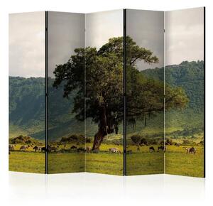 Paravento In un cratere del Ngoro Ngoro II - paesaggio montano