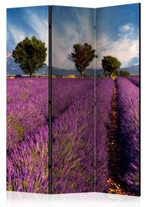 Paravento Campo di lavanda: Francia - paesaggio viola di lavanda