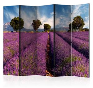 Paravento separè Campo di lavanda in Provenza II - campi di lavanda viola
