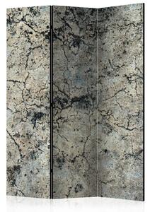 Paravento Pietra crepata - composizione con sfondo grigio