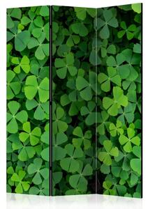 Paravento design Trifoglio verde - semplice composizione in foglie delicate