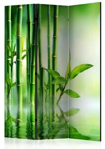 Paravento design Boschetto bambù - composizione verde zen