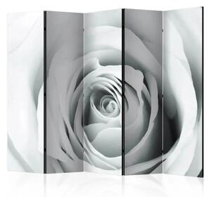 Paravento design Enigma di rose II - composizione con rosa in bianco